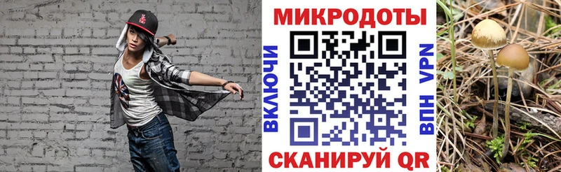 Псилоцибиновые грибы Psilocybe  ссылка на мегу как войти  Богучар 